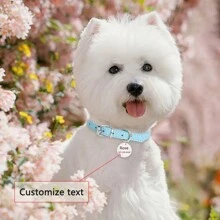 1 Pieza Placa de identificación redonda personalizada para mascotas - Nombre personalizado y número de teléfono Etiqueta única de identificación antiperder para collar de perros y gatos