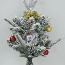 1 tấm gốm sứ treo tường trang trí tùy chỉnh 2 ảnh, quà tặng cho gia đình, bạn bè, người yêu thú cưng, đồ trang trí Giáng sinh, quà tặng ảnh - trắng - Xem 5