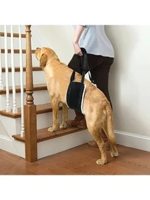 Cabestrillo para perros para las patas traseras, arnés de soporte de cadera para ayudar a levantar la parte trasera para la rehabilitación de ligamento cruzado en caninos ancianos - Blanco y Negro - Ver 3