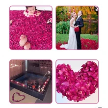 Natural Dried Real Rose Petals, Romantic Decoration For Wedding, Birthday, Proposal, Bathing, Foot Bath, Hot Springs, SPA, Milk Bath Ritual Gifts Graduation