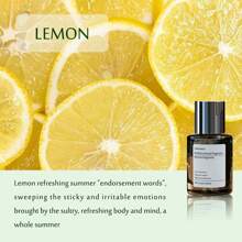 1 件装汽车香薰油补充装，去除异味，增加香味|160ml/5.41fl.Oz - 多香型 - 查看 3