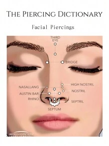 Morlyda 3Pcs/Set Cool Colorful Nose Ring Horseshoe Nose Hoops Earring 16g Stainless Steel Septum Jewelry Nose Ring Lip Ring Hinged Septum Hoops Piercing Jewelry, Septum Clicker Ring, Hoop Nose Ring For Septum, Helix, Rook, Tragus, Daith, Cartilage Earring For Women Men Halloween Piercing Body Jewelry For Party Dates Daily Wear