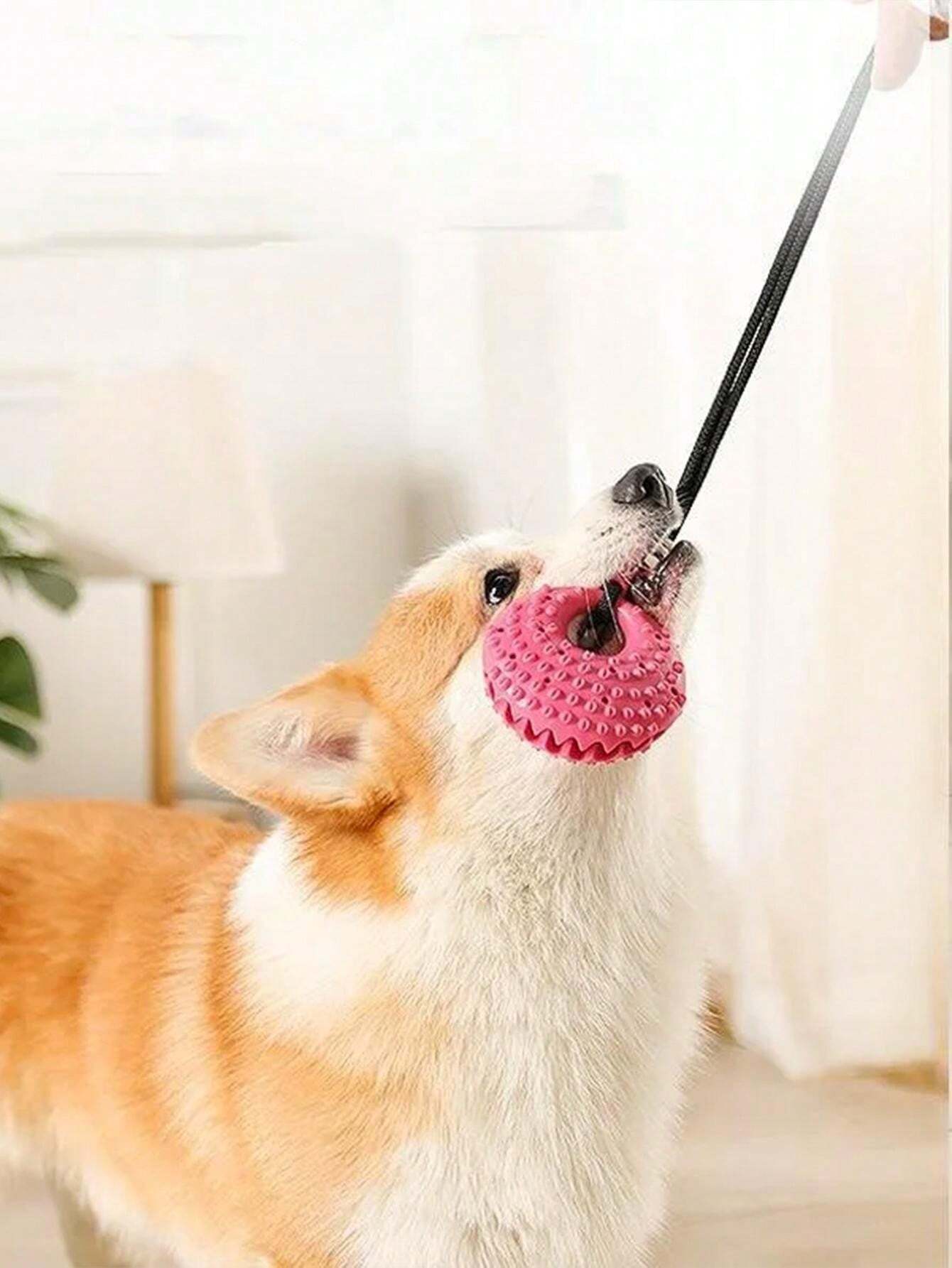 Pet Suction Cup Interactive Toy For Dog, Chew Puzzle Feeder Ball SHEIN UK