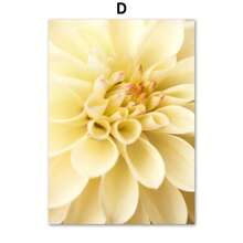 1pc Hoa thược dược vàng hoa hướng dương hoa lan bướm màu be nghệ thuật treo tường vải canvas tranh áp phích và tranh in Bắc Âu trang trí phòng khách không có khung - Nhiều màu - Xem 13