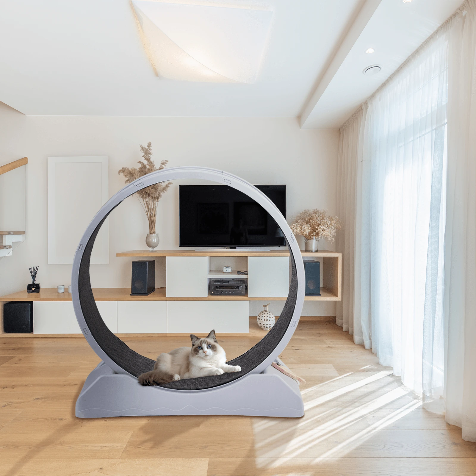 Cat Exercise Wheel, 31 Inch Cat Wheels For Indoor Cats, Cat Treadmill