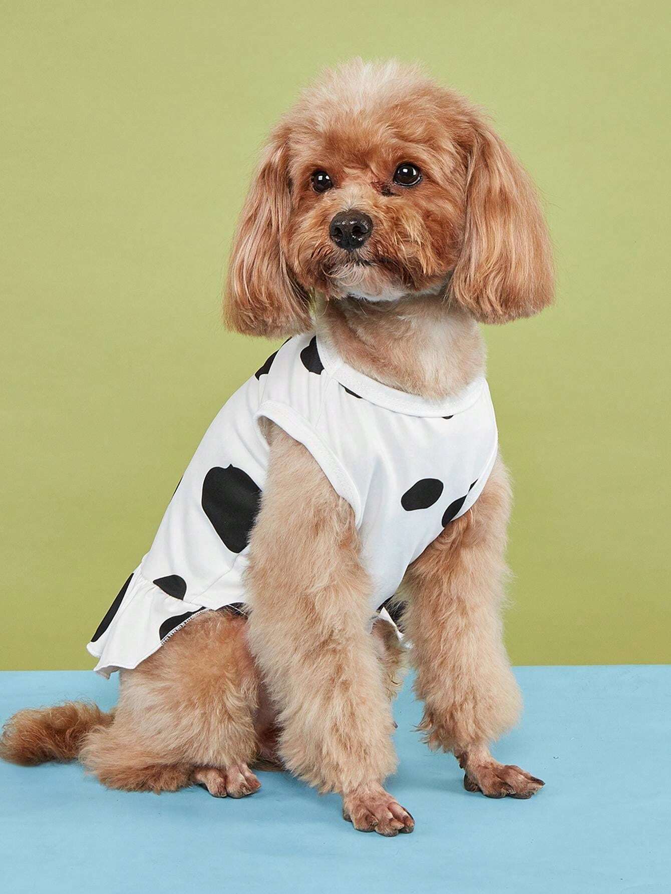 Vaca Con Ropa 1 pieza Ropa de mascota con estampado de vaca tipo arnés y vestido ...