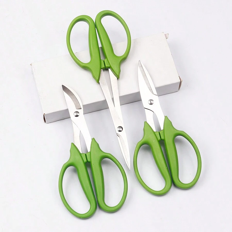 不锈钢绿色花园修枝剪，园艺剪刀，园林剪刀，修枝剪，花园剪，园艺工具 - 綠色 - 查看 1