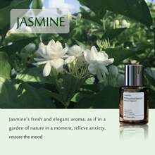 1 件装汽车香薰油补充装，去除异味，增加香味|160ml/5.41fl.Oz - 多香型 - 查看 5