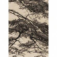 1pc Vintage Pine Tree Branch Drawing Posters And Prints Canvas Painting Wall Art Picture For Living Room Home Decoration Paintings No Frame - Multicolor - View 15