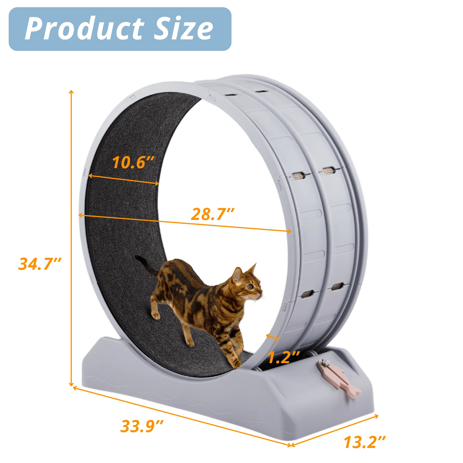 Cat Exercise Wheel, 31 Inch Cat Wheels For Indoor Cats, Cat Treadmill