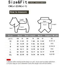 Oddychająca kamizelka świąteczna dla małych/średnich psów i kotów, nadruk bałwana, do noszenia wewnątrz/na zewnątrz