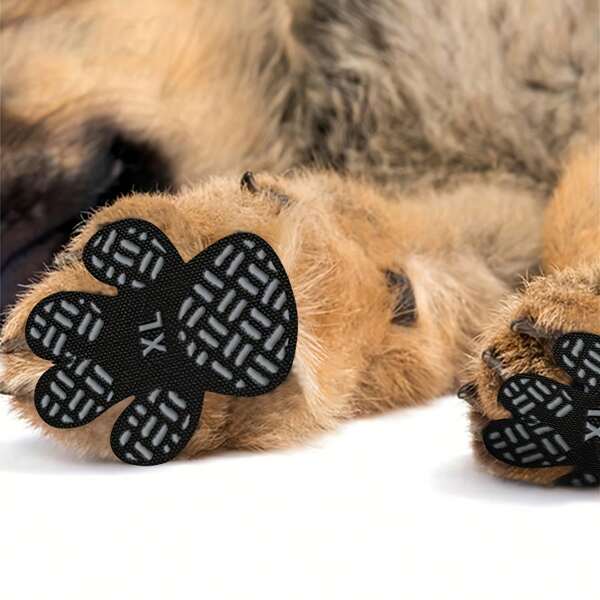 4 Pieces Of Pet Shoes Disposable Invisible Non-Slip Puppy Foot Stickers Suitable For Sending Friends And Family Pet Supplies Dog Non-Slip Pad