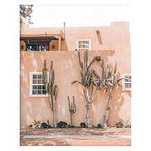 沙漠多肉植物墙艺术和植物印刷品套装 1/3/6 件西南墙面装饰、仙人掌艺术印刷品、约书亚树墙艺术、沙漠艺术仙人掌墙面装饰海报自然无框风格 - 彩色 - 查看 24