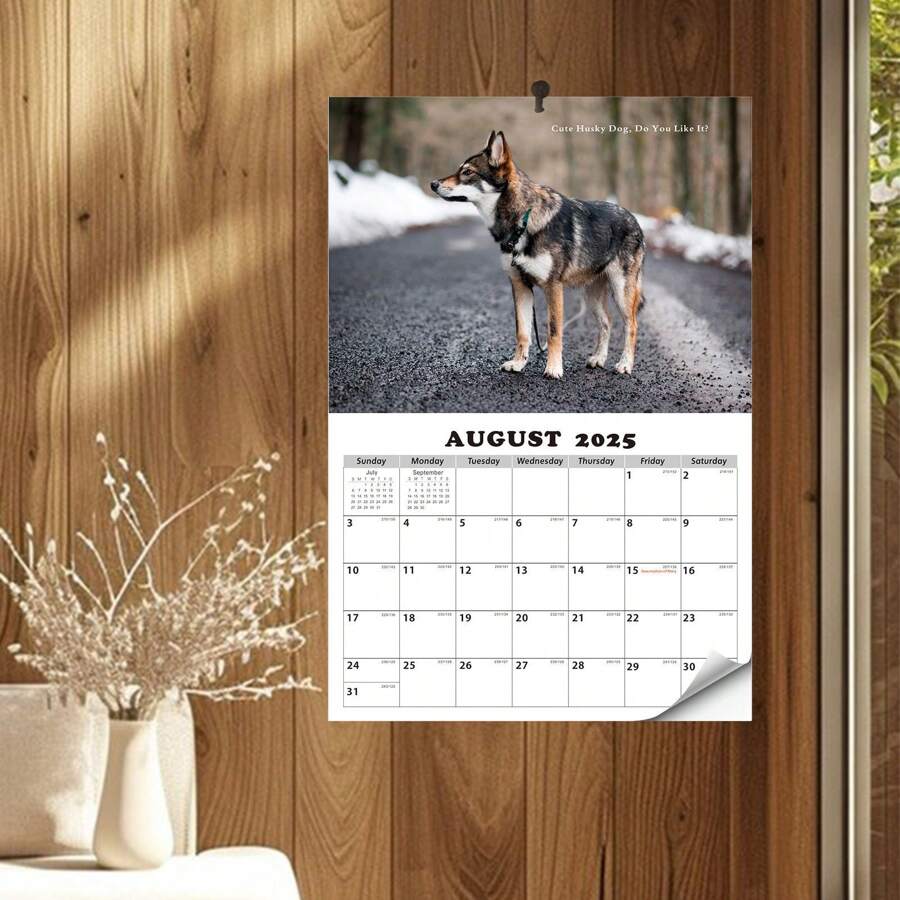 Calendrier chien husky 2025 janv. 2026 janv., populaire, convient