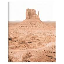 沙漠多肉植物墙艺术和植物印刷品套装 1/3/6 件西南墙面装饰、仙人掌艺术印刷品、约书亚树墙艺术、沙漠艺术仙人掌墙面装饰海报自然无框风格 - 彩色 - 查看 40