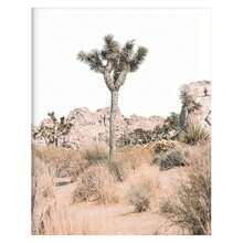 沙漠多肉植物墙艺术和植物印刷品套装 1/3/6 件西南墙面装饰、仙人掌艺术印刷品、约书亚树墙艺术、沙漠艺术仙人掌墙面装饰海报自然无框风格 - 彩色 - 查看 43