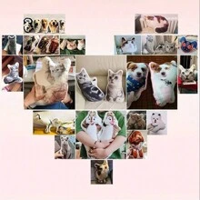 Búp bê nhồi bông có ảnh tùy chỉnh - Quà tặng cho cặp đôi dễ thương tự làm, Gối cá nhân hóa & Đồ chơi nhồi bông cho quà tặng sinh nhật và ngày lễ tình nhân Giáng sinh - Nhiều màu - Xem 6