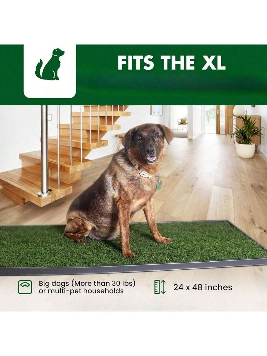 Plastic Tray For XL Real Grass Pee And Potty Training Pads For Large