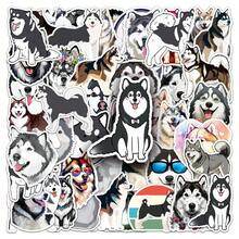 50 miếng dán hình chó Alaska/chó túi/chó Schnauzer hoạt hình, miếng dán bằng nhựa vinyl cho máy tính xách tay, bình nước, đàn guitar, xe đạp, ô tô, xe máy, cản xe, hành lý, ván trượt, hình dán dễ thương, món quà tuyệt vời cho trẻ em, thanh thiếu niên, nam giới, phụ nữ. - Nhiều màu - Xem 14