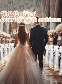 Bộ 10/5/1 Rèm vải tuyn hình bướm trang trí đám cưới, Nơ lớn màu trắng/hồng với vải mỏng trang trí màu trắng/hồng, Thích hợp cho lối đi nhà thờ, Trang trí xe cưới, Nơ cỡ lớn cho tiệc chia tay cuộc sống độc thân, Sinh nhật, Kỷ niệm - trắng - Xem 6