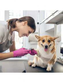 1 件专业宠物指甲美容工具 - 不锈钢剪刀式修剪器，可安全精确地打磨和修剪狗和猫爪子 - 方便的一体式设计，可温和地进行美容 - 紅色 - 查看 6