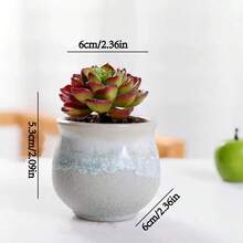 1 件装多肉植物小型多肉花容器小型多肉植物容器适用于商店办公室家居装饰 - 彩色 - 查看 5