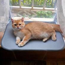 Cat Hammock - Comfortable Window Bed, Toy Lounge - Grey - View 6