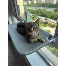 Cat Hammock - Comfortable Window Bed, Toy Lounge - Grey - View 4