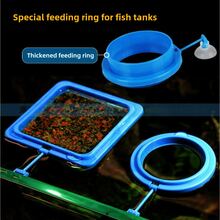 1PC Vòng cho cá ăn, Máy cho ăn, Vòng cho cá ăn trong bể cá Vòng cho cá ăn trong bể cá Vòng cho cá ăn - Nhiều màu - Xem 5