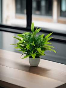 Artificial Lush Green Bamboo, Evergreen Bonsai Plant With White Square Mini Planter, Valentine Day, Gift Gifts Birthday Graduation - Green - View 2