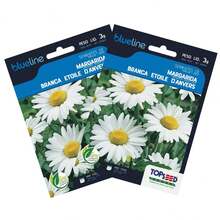 2X TOPSEED Blueline White Daisy Seeds - 杏色 - 查看 2