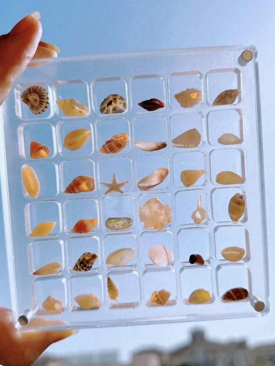 Mini Conch Specimen Collection Acrylic Shell Diamond Nail Art Jewelry