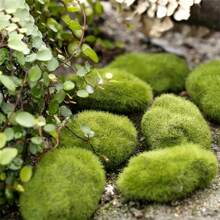 10 件人造苔藓微景观，迷你 DIY 小花园，微景观 DIY 装饰，景观装饰，盆栽装饰，类别：其他（儿童派对装饰品） - 綠色 - 查看 4