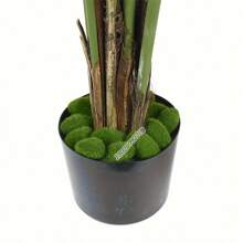 10 件人造苔藓微景观，迷你 DIY 小花园，微景观 DIY 装饰，景观装饰，盆栽装饰，类别：其他（儿童派对装饰品） - 綠色 - 查看 5