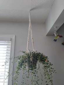1 件装植物吊架室内悬挂花盆篮带木珠装饰花盆架无流苏适用于室内室外波西米亚风家居装饰 35 英寸，象牙色户外装饰 - 米色 - 查看 6