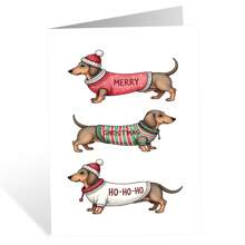 1pc Cartão de Saudação de Natal Engraçado Dachshund, Desejos de Feliz Natal, Cartão de Natal Alegre e Brilhante para Amigos e Família, Desejos de Natal para Qualquer Pessoa, Cartão Festivo Sazonal