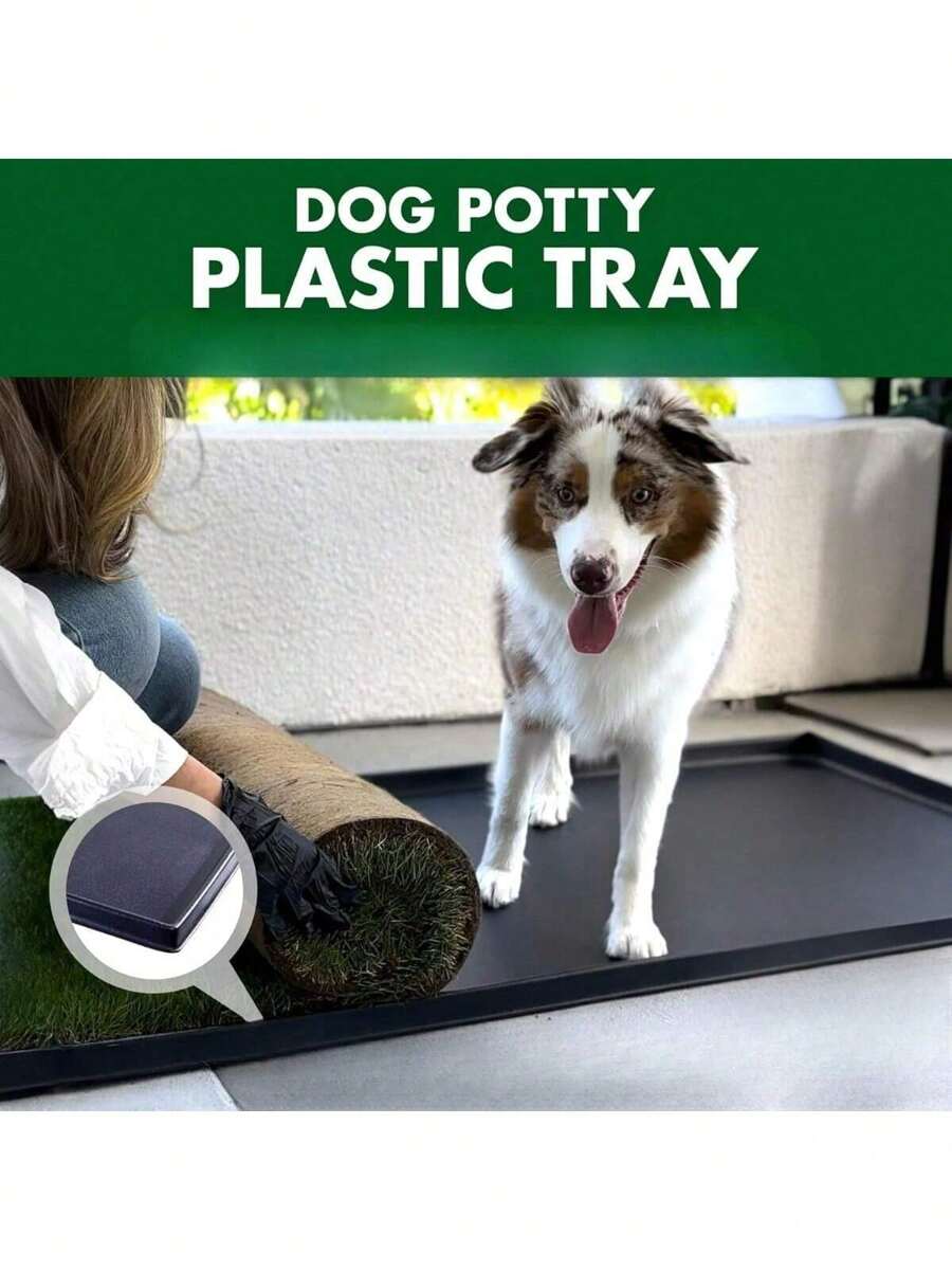 Plastic Tray For XL Real Grass Pee And Potty Training Pads For Large