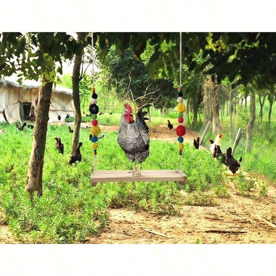 Large Parrot Swing Stand, Colorful Bird Toy Swing Platform For Chicken