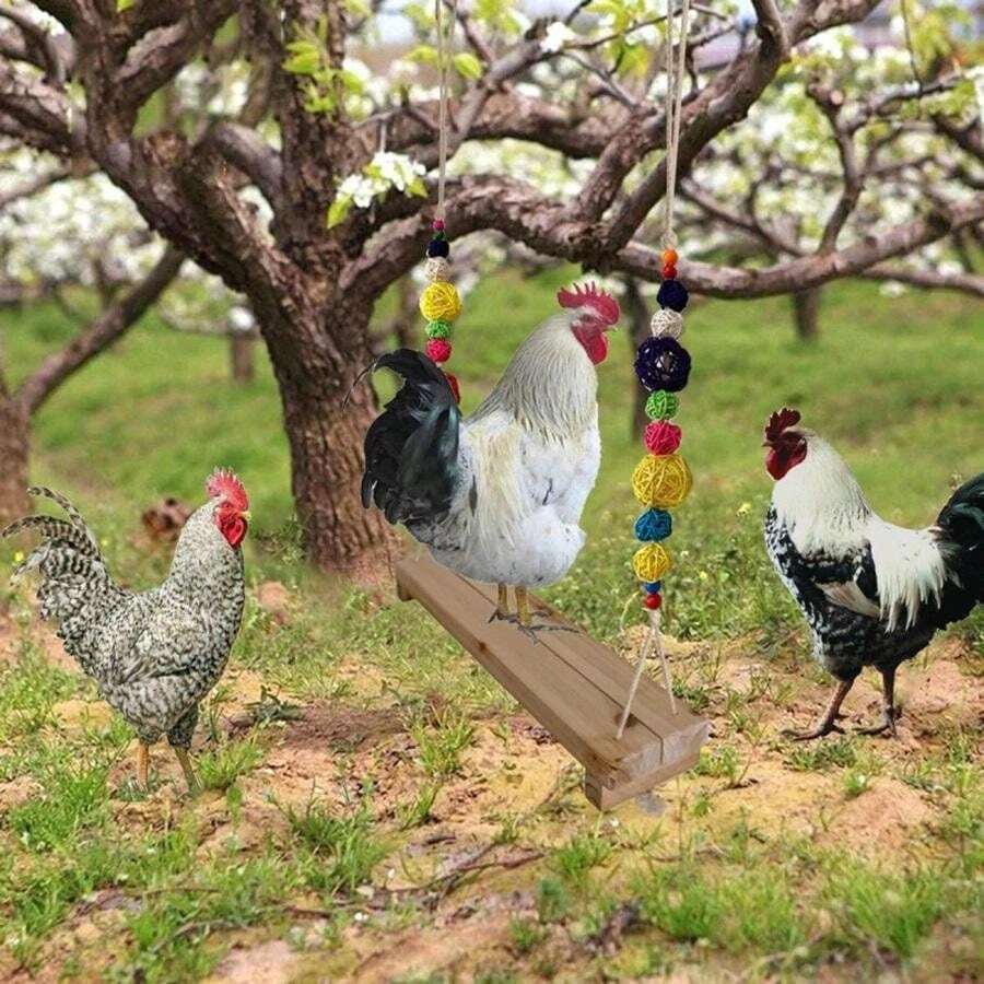 Large Parrot Swing Stand, Colorful Bird Toy Swing Platform For Chicken
