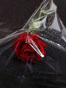 1 卷，透明包装纸，玻璃纸包装适用于情人节、婚礼等节日礼品篮糖果包装工艺花束包装、包装纸、薄纸、花束用品、礼品包装纸、鲜花包装纸、礼品包装、婚礼包装圣诞装饰圣诞礼品包装纸 - 白色 - 查看 5