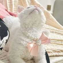 1 件猫串珠项链，可爱极具吸引力的水钻镶嵌狗和猫项圈，用于拍照的装饰品，项链可防止猫咬和舔 - 黃色 - 查看 5