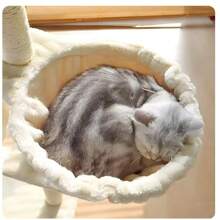 54" Multi-Level Cat Tree Tower Scratching Post Cat Condo W/Hammock Cats Beige