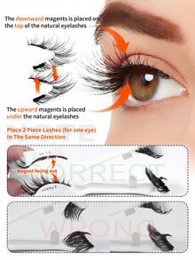 1 Pair C Curl Magnetic False Eyelashes Kit With Mirror & Applicator Glue-Free Eyelashes 3D Natural Manga Eyelashes Cat Eye Fluffy Faux Mink Eye Lashes - 黑色 - 查看 11