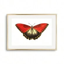 1pc Tranh Canvas Nghệ Thuật Treo Tường Hình Con Bướm Áp Phích Và Tranh In Sinh Vật Đẹp Trang Trí Phòng Khách Phòng Ngủ Quà Tặng Cho Người Yêu Côn Trùng Không Có Khung - Nhiều màu - Xem 15