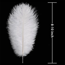 5 件 15-30 厘米人造羽毛 DIY 工艺品服装配饰 - 白色黑色羽毛适用于婚礼派对和家居装饰