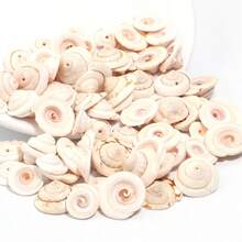 30/40/50 克/包海螺虎贝片钻珠吊坠，简约时尚项链装饰贝壳，DIY 珠宝制作 - 彩色 - 查看 5