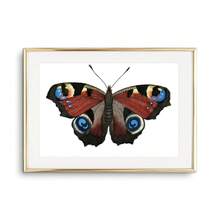 1pc Tranh Canvas Nghệ Thuật Treo Tường Hình Con Bướm Áp Phích Và Tranh In Sinh Vật Đẹp Trang Trí Phòng Khách Phòng Ngủ Quà Tặng Cho Người Yêu Côn Trùng Không Có Khung - Nhiều màu - Xem 12