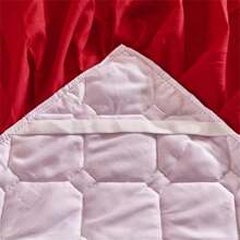 1 件水晶天鹅绒加厚绗缝印花床裙（不含枕套），蕾丝荷叶边床罩，防滑下摆，适合秋冬季、卧室和客房，可水洗，可机洗（仅床裙，不含枕套） - 花都綻放 - 查看 5