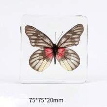 1pc Large Size (4.8cm/7.5cm) Transparent Spread Wings Butterfly, Spider, Butterfly, Giant Centipede Series Model. Insect Specimen, Permanent Preservation Animal Model Crafts, Real Nature Insect Butterfly Resin Specimen Bookend, Transparent Acrylic Square Plant And Animal Insect Model Decorative Craft (Crystal Crafts Are Fragile, Beware Of Bumps) - Multicolor - View 21