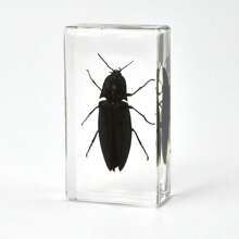 50+ Pcs Large (7.3cm) Transparent Resin Insect Stag Beetle, Spider, Scorpion, Rhinoceros Beetle, Hornet, Wasp Model, Spider Octagon Monster Creative Bookend Decor, Primitive Forest Giant Arthropod Centipede Model, Magical Nature Real Rare Various Insects, High Transparency Permanent Preserved Transparent Resin Natural Insect Creative Small Decor, Gift - Multicolor - View 22